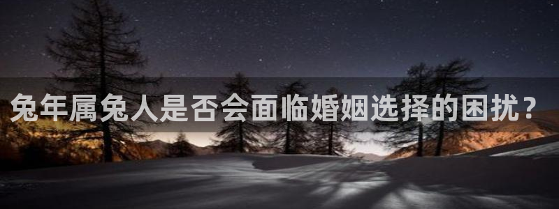 德国卧龙娱乐集团