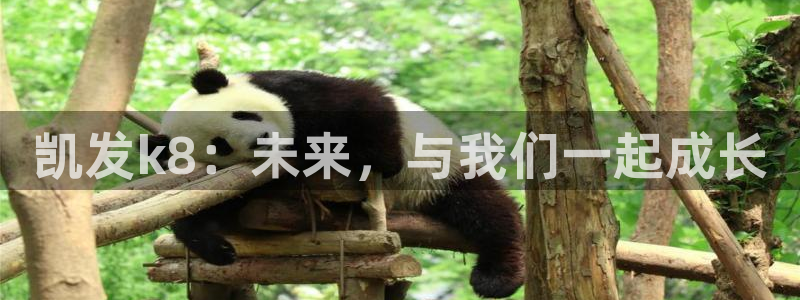 卧龙娱乐2注册：凯发k8：未来，与我们一起成长