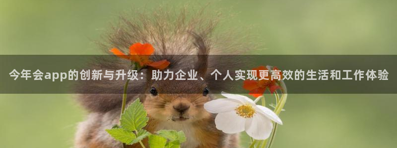 卧龙娱乐招商：今年会app的创新与升级：助力企业、个人实现更高效的生活和工作体验