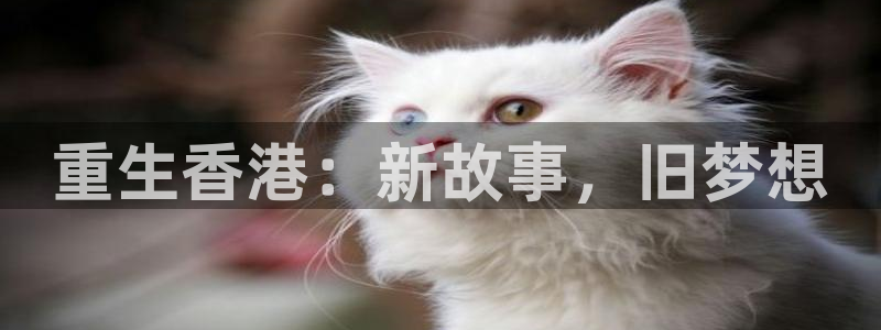卧龙娱乐官网注册：重生香港：新故事，旧梦想