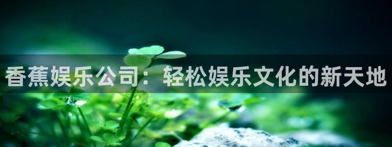 卧龙娱乐股份：香蕉娱乐公司：轻松娱乐文化的新天地