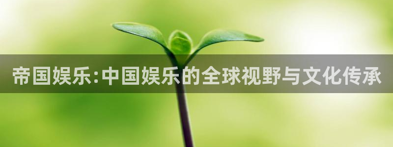 卧龙娱乐2登录入口：帝国娱乐:中国娱乐的全球视野与文化传承