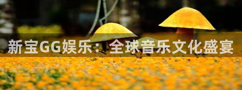 卧龙娱乐体育2官网入口：新宝GG娱乐：全球音乐文化盛宴
