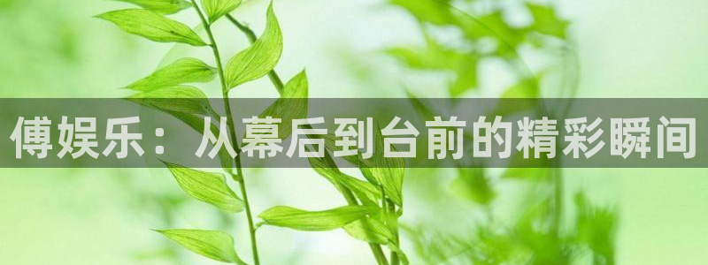 卧龙娱乐环保：傅娱乐：从幕后到台前的精彩瞬间
