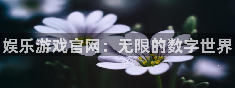 卧龙娱乐体育在线注册：娱乐游戏官网：无限的数字世界