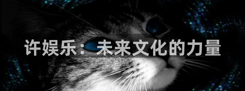 卧龙娱乐5招商：许娱乐：未来文化的力量
