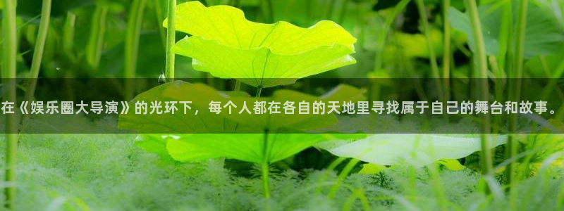 卧龙娱乐登录：在《娱乐圈大导演》的光环下，每个人都在各自的天地里寻找属于自己的舞台和故事。
