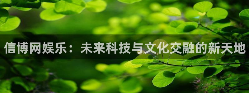 卧龙娱乐股份：信博网娱乐：未来科技与文化交融的新天地