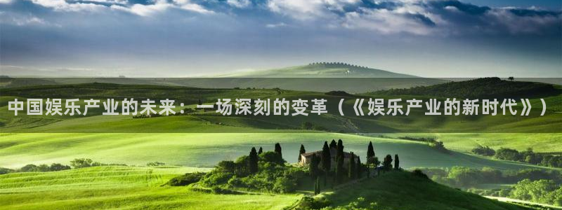 上海卧龙娱乐汽车电子有限公司：中国娱乐产业的未来：一场深刻的变革（《娱乐产业的新