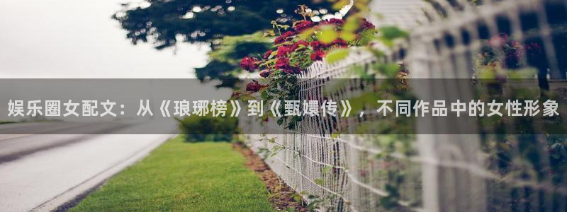 卧龙娱乐集团官网：娱乐圈女配文：从《琅琊榜》到《甄嬛传》，不同作品中的女性形象
