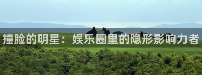 卧龙娱乐体育2：撞脸的明星：娱乐圈里的隐形影响力者