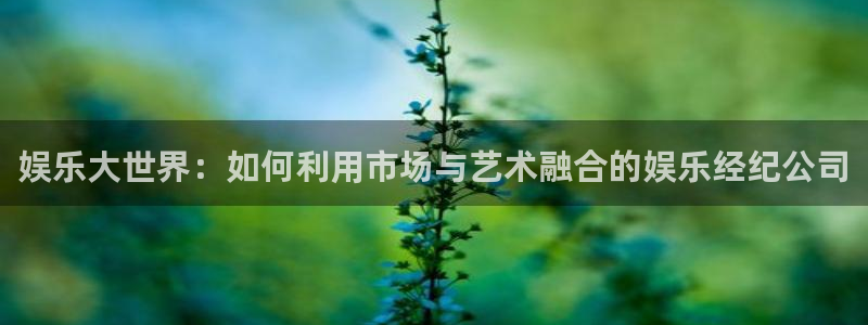 卧龙娱乐4平台：娱乐大世界：如何利用市场与艺术融合的娱乐经纪公司