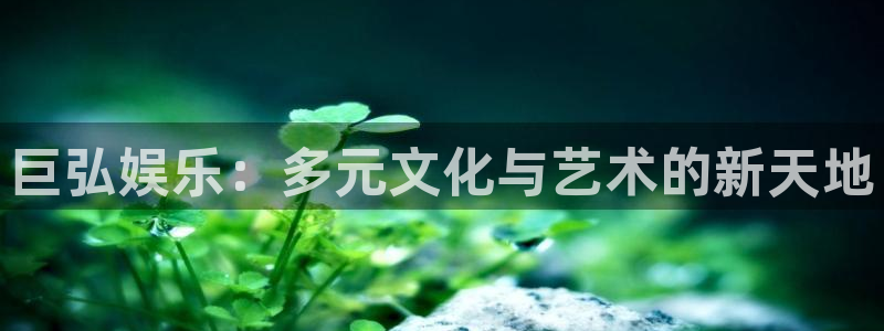 卧龙娱乐体育合法嘛：巨弘娱乐：多元文化与艺术的新天地