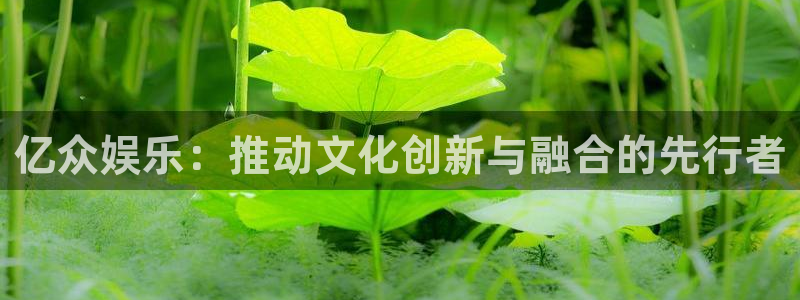 卧龙娱乐体育论坛：亿众娱乐：推动文化创新与融合的先行者