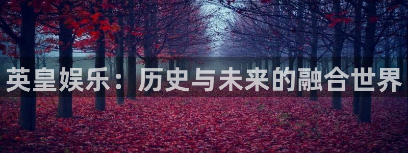 卧龙娱乐体育凯捷平台注册：英皇娱乐：历史与未来的融合世界